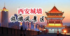 大鸡巴干得好深啊网站中国陕西-西安城墙旅游风景区